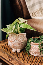 Load image into Gallery viewer, Wise Owl Planter

