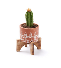 Load image into Gallery viewer, Terra Mango Planter Stand
