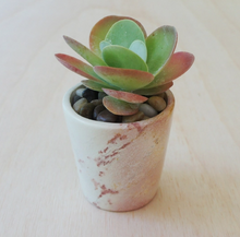 Load image into Gallery viewer, Natural Soapstone Round Planter
