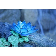 Load image into Gallery viewer, Paradise Lotus Tea Light Holder
