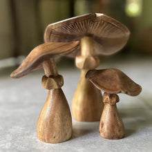 Load image into Gallery viewer, Natural Suar Wood Mushrooms
