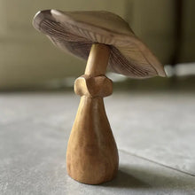 Load image into Gallery viewer, Natural Suar Wood Mushrooms

