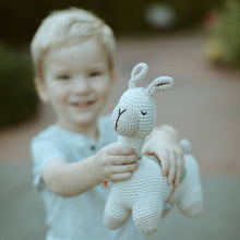 Load image into Gallery viewer, Crocheted Llama Stuffed Animal
