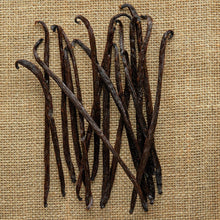 Load image into Gallery viewer, Nyanza Vanilla Extract Kit
