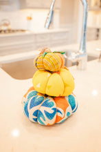 Load image into Gallery viewer, Saree Pumpkin - Large
