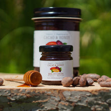 Load image into Gallery viewer, Organic Cacao Nibs &amp; Honey Mini Jar
