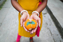 Load image into Gallery viewer, Saree Pumpkin - Small
