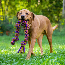 Load image into Gallery viewer, Knotted Rope Pull Dog Toy, Purple/Green: 26&quot;
