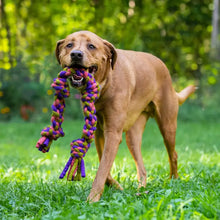 Load image into Gallery viewer, Knotted Rope Pull Dog Toy, Purple/Green: 15&quot;
