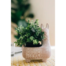 Load image into Gallery viewer, Llama Terracotta Planter
