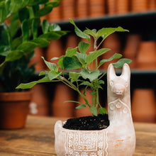 Load image into Gallery viewer, Llama Terracotta Planter
