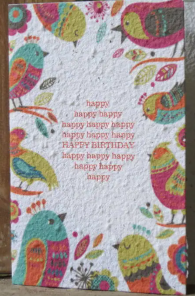 Birthday Birds Growing Greeting Cards