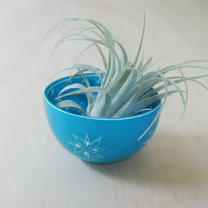 Two Pattern Soapstone Bowl