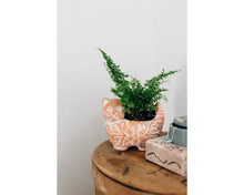 Load image into Gallery viewer, Garden Kitty Planter
