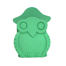 Load image into Gallery viewer, Mr. Owl Eyeglass and pen holder Combo

